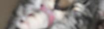 rainey_3mo